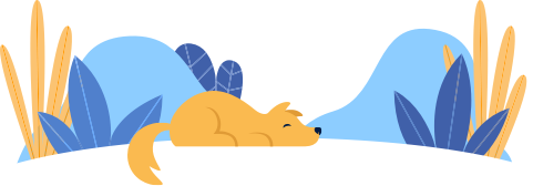 bvo-404-bg.png